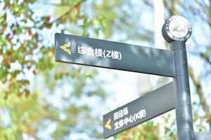校园风景