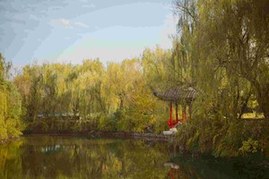 校园风景